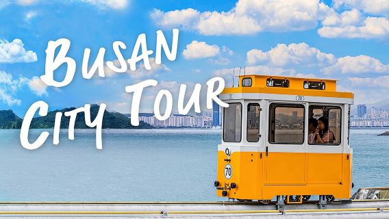 Busan Coastal Charm & Culture: Gamcheon Village & opt Sky Capsule
