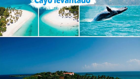 Samana Ganztagesausflug – Insel Baracardi, Pferde, Zitronenwasserfall