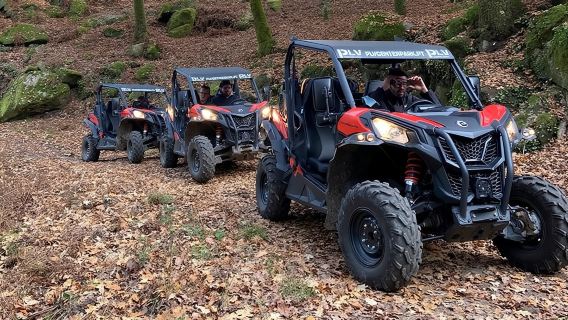 Ponte de Lima Guided Buggy Tour