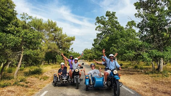 Ab Aix-en-Provence: Halbtägige Weintour im Beiwagen