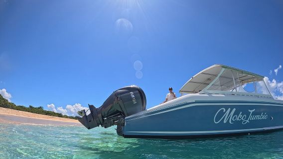 Private Power Catamaran Adventure in Saint Kitts and Nevis