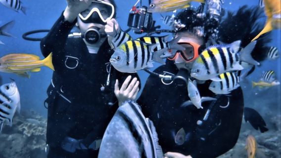 Pingtung 2-Hour Diving Experience: Scuba Diving in Kenting | Beginner OW Course | Taike Diving