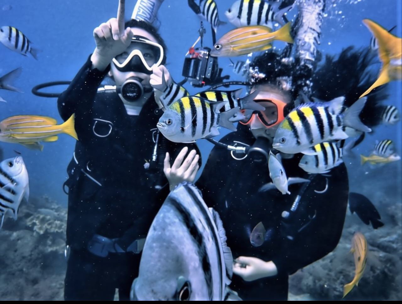 Pingtung 2-Hour Diving Experience: Scuba Diving in Kenting | Beginner OW Course | Taike Diving