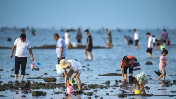三亞海棠灣後海趕海 探險好奇的親子遊佳選 免費加工 提供趕海裝備