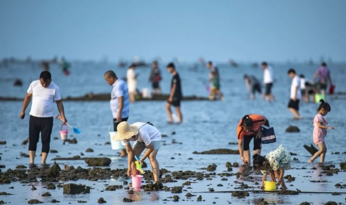 三亞海棠灣後海趕海 探險好奇的親子遊佳選 免費加工 提供趕海裝備