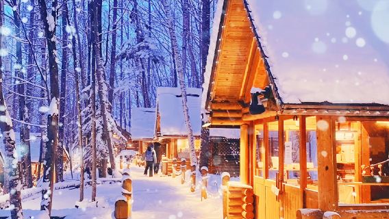 Hokkaido, Japan + Asahiyama Zoo + Forest Elf Terrace + Biei Day Tour