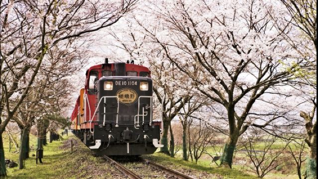 日本京都嵐山小火車-竹林小徑-貴船神社【中文專車 舒適純淨】