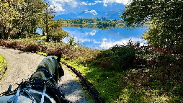 Tour del Parco nazionale di Killarney
