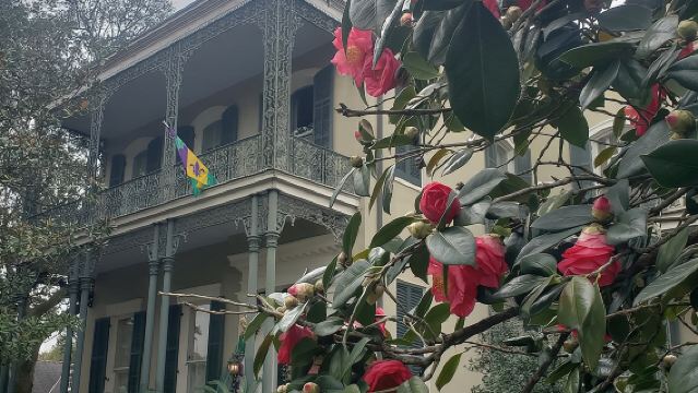 New Orleans Garden District History Walking Tour