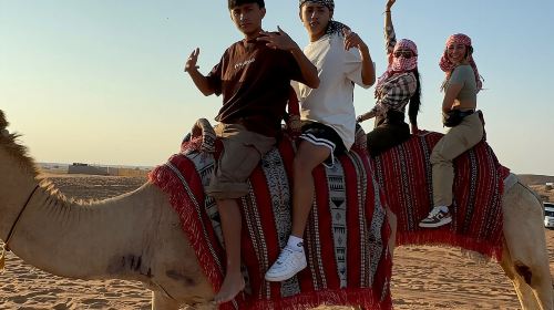 Morning Red Dune Safari with Sandboarding and Camel Ride Day Tours 9