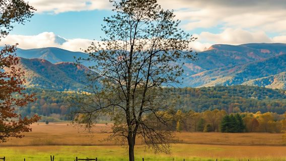 Cades Cove Self-Guided Driving Audio Tour