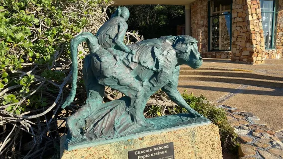 Ciudad del Cabo: Excursión de un día al Cabo de Buena Esperanza y la Playa Boulders