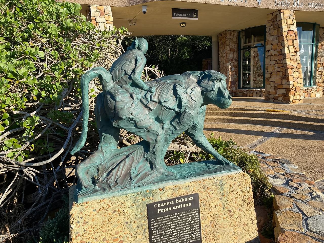 Città del Capo: tour di gruppo per vedere i pinguini a Cape Point e Boulders Beach