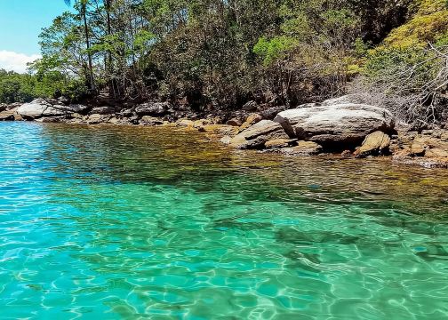 Rafting Mambucaba dengan akses Jeep 4x4 melalui hutan