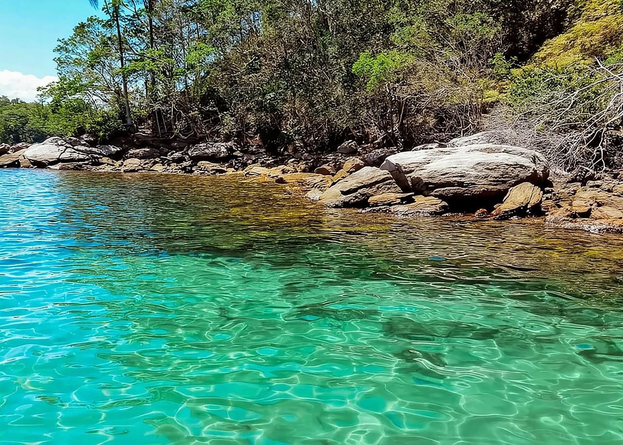 Rafting at Angra-Paraty border with Atlantic Forest trek