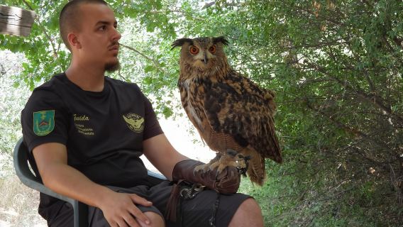 Scopri il fantastico mondo dei rapaci nel Parco Nazionale del Pollino.