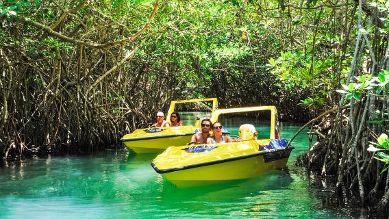 Cancun: tour in motoscafo nella giungla di mangrovie e snorkeling