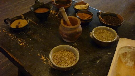 Bảo tàng bánh gừng sống Torun và chuyến đi bộ riêng tư quanh phố cổ