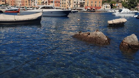 From Genova: Portofino Return Transfer by Open-Top Bus