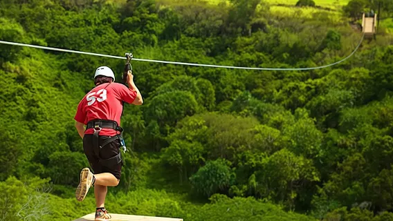 Kauai: Zipline Adventure