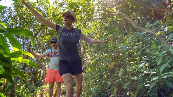 Mauritius Natirel :Tamarind Falls discovery/Adventure