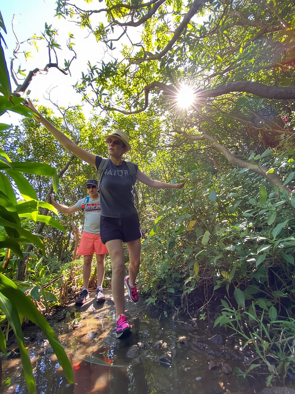 Mauritius Natirel : 7 cascades valley waterfall discovery