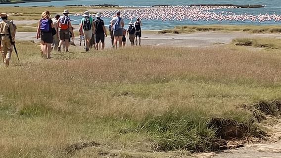 Excursión de un día al lago Elementaita y al lago Naivasha desde Nairobi