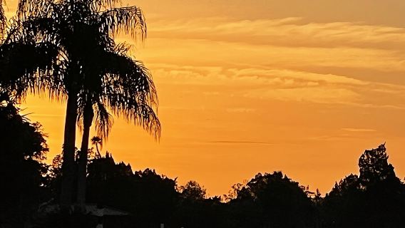 King's Bay Sunset Cruise