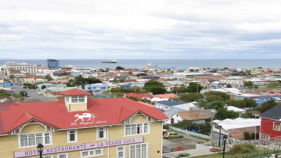 智利蓬塔阿雷納斯｜旅遊陪同翻譯｜展會｜商務考察洽談｜自由行地接｜接機（可私人訂製）