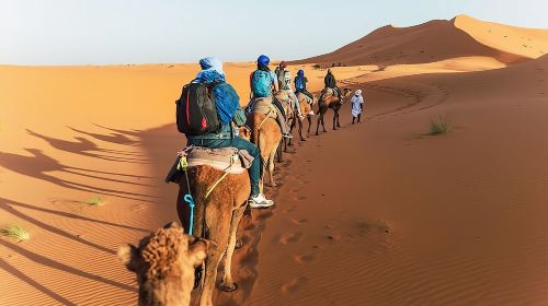 Vip Sunset Evening Safari Dubai: Camel Ride, Shows & BBQ Dinner Day Tours 2