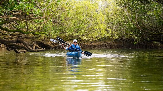 Tour in kayak al Santuario dei Delfini ad Adelaide
