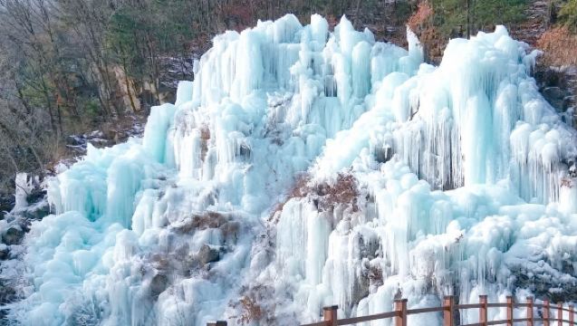 【首爾冬季限定】 Eobi冰谷+羊駝世界+南怡島+中文包車