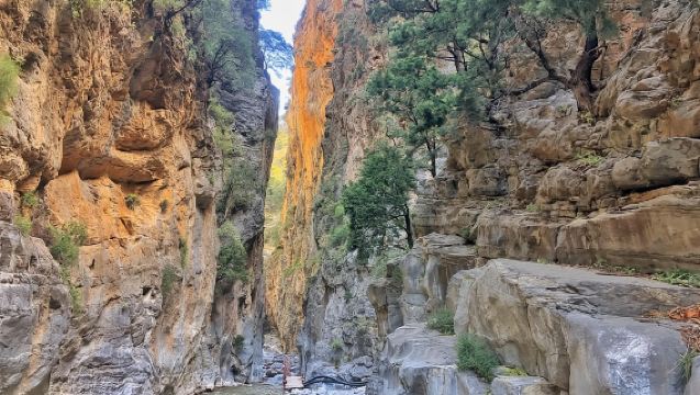 From Chania: Samaria Gorge Hiking Tour With Local Guide