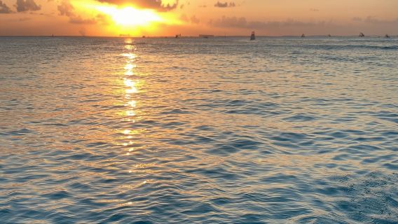 Catamaran Cruise - Sunrise Tour