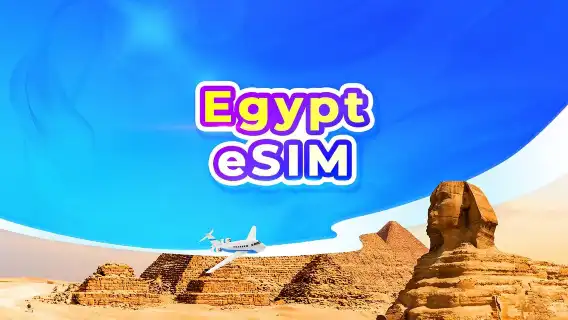 مصر