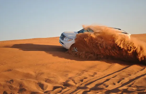 拉斯海瑪：下午沙漠之旅和燒烤晚餐