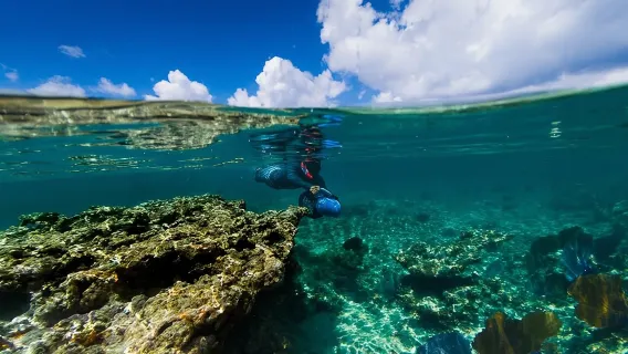Power Snorkel By Sea Scooters & Tequila Tasting