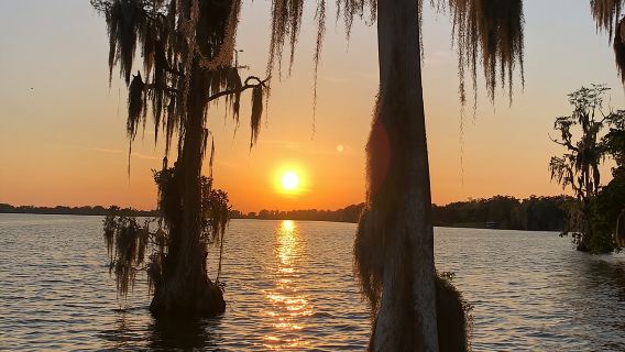 OrlandoExperiences