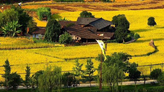 Lawatan Sehari Penuh ke Gua Naga Kuning Grand Canyon Zhangjiajie