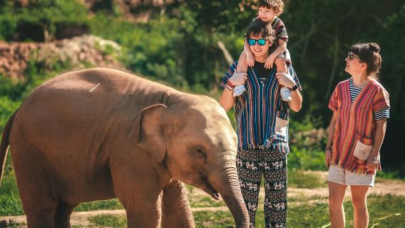 Tour nửa ngày tại Trại bảo tồn voi Bangkok - Công viên voi từ thiện, làm ống hít mũi + bữa trưa kiểu Thái