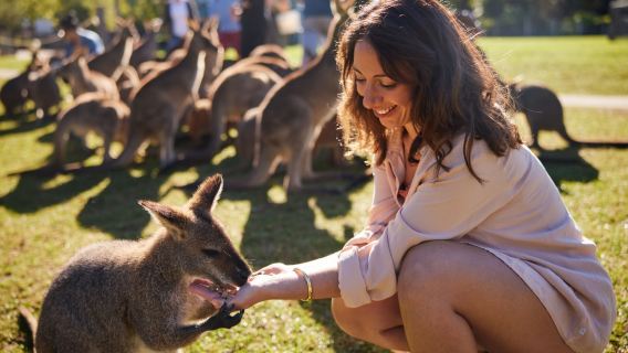 SydneyTours