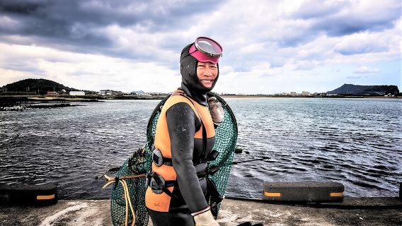 Tour privato di un giorno intero nella pittoresca costa orientale di Jeju