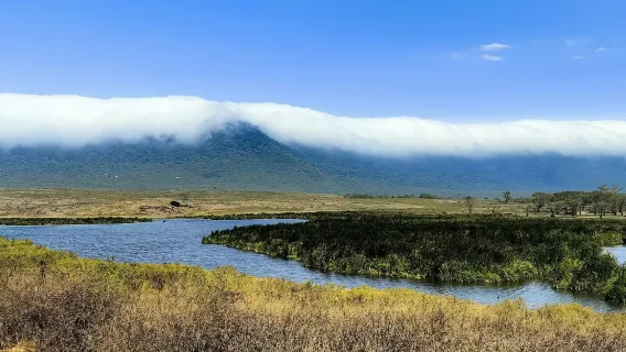 Mọi loại phiên dịch viên, hướng dẫn viên , thuê xe riêng thuê, nhiếp ảnh gia, người hộ tống doanh nhân, bác sĩ, hướng dẫn viên du lịch và dịch vụ du lịch tùy chỉnh trên khắp Kenya