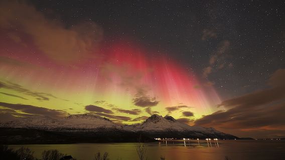 Tromso Aurora Bonfire with Cinnamon Cake and Marshmallow Roast