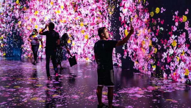 ไมอามี: บัตรเข้าชม Superblue Miami Immersive Art Experience