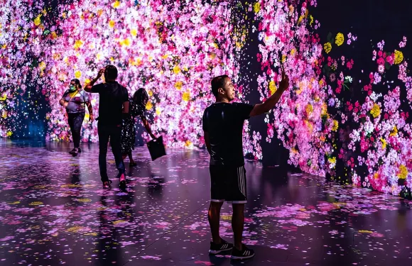 邁阿密：Superblue 邁阿密沉浸式藝術體驗門票