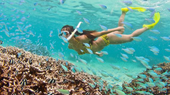 Nha Trang Deluxe Ocean Tour: Snorkeling - BBQ - Mud Bath