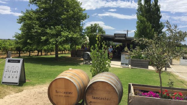 Swan Valley Wine Tour - Full Day