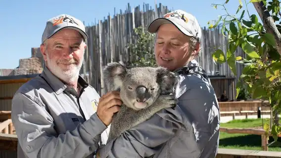 雪梨動物園＋藍山國家公園＋盧拉＋回聲角＋藍山絕景世界一日遊