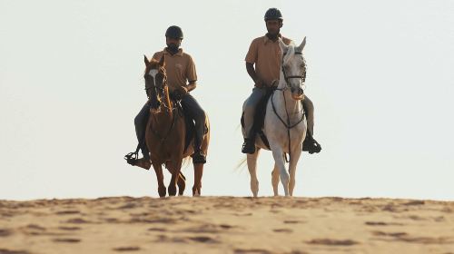Abu Dhabi Horse Riding Experience 2